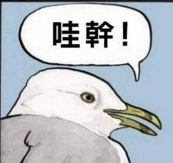 55 KB