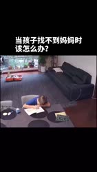 1431 KB