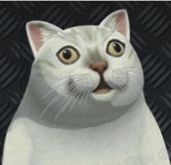 51 KB