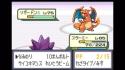 79 KB