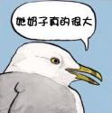 16 KB