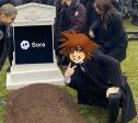 773 KB