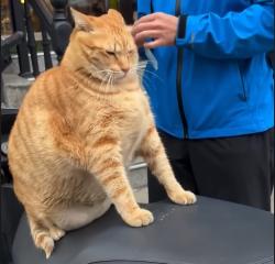 71 KB
