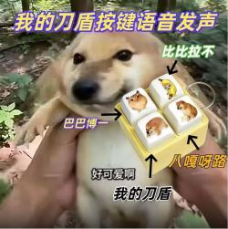1365 KB