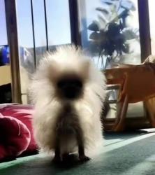 122 KB