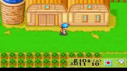 3062 KB