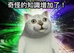 9 KB
