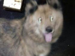 318 KB