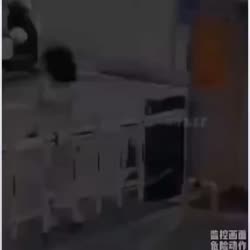 1761 KB