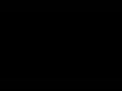 2781 KB