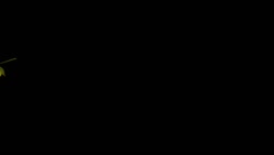 5004 KB