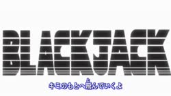 5043 KB