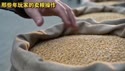 4292 KB