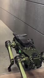 1591 KB
