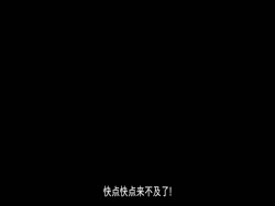 4929 KB