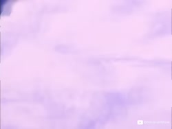10050 KB