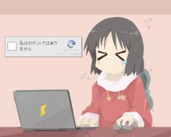 224 KB