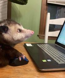 102 KB