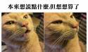 1747808232673.png